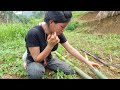 Single mother, built a bamboo stove with her children, and started a new life \ lý hiền