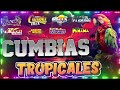 CUMBIAS TROPICALES PARA BAILAR💃TROPICALES MIX EXITOS 2024🍉TROPICAL FLORIDA,FITO OLIVARES,EL NEGRO…