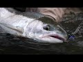 Oregon Coast Fly Fishing, WINTER RUN STEELHEAD and WHITEWATER rafting - A Film by Todd Moen