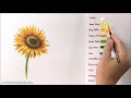 How To Paint A Sunflower in Acrylic - Step By Step Painting - PART 1