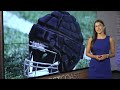 Jaguars take on the NFL introducing Guardian Caps to reduce head injuries and concussions