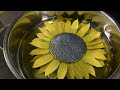 Making a steel sunflower for Ukraine