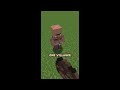 Minecraft Villager Memes... (Compilation)