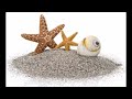 star fish in the desert 1 podcast