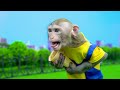 KiKi Monkey take Rainbow Ice Cream Truck by challenge at swimming pool | KUDO ANIMAL KIKI