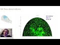 AIAA Scitech 2021 Talk - Experimental optimization of actuator location for active flow control