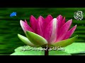 Ayatul Kursi | Heart Touching & Beautiful Voice Relaxing Quran Recitation | Ayat ul Kursi Ki Tilawat