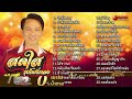 สดใส รุ่งโพธิ์ทอง | 30 เพลงสุดยอดเพลงดังอมตะ (Official Audio Album)