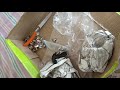Feroc cricket full spikes shoes unboxing