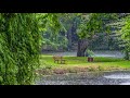 Rain Sound On Window with Thunder SoundsㅣHeavy Rain for Sleep, Study and Relaxation, Meditation