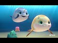 Go with the Flow with Kelp & Friends! | Not Quite Narwhal | Netflix