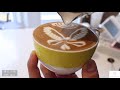 Latte Art Basic to Advanced Skills Practice Video Collection |Cappuccino|Rosetta|cafe vlog|Steaming