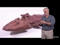 Neil Shubin (U. Chicago): Finding Tiktaalik, the Fossil Link Between Fish and Land Animals