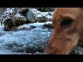 The Ice Features of A Frozen February Creek in Montana