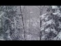 Dead of Winter Soundscape