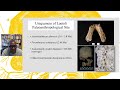 Discoveries at Laetoli: Footprints, Fossils, and Hominin Diversity with Dr. Charles Musiba