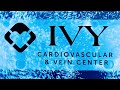 Ivy Cardiovascular Bubble Wall