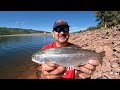 Trout Fishing near Durango