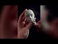 My Top 10 Tips for Sculpting Ball-Jointed Dolls