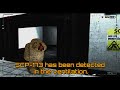 SCP-173 suspicious announcements | SCP: Anomaly Breach 2