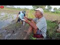 Enaknya Makan di sawah dengan menu sayur terong