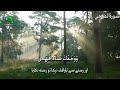 Surah AD-Duha With Urdu Translation Beautiful Recitation || Surah Duha Ki Tilawat With Urdu Tarjuma