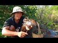 Show Life Trapping And Catch Crabs Near Mangrove Forest | BONG VATH |