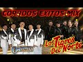 Los Tigres Del Norte,Los Originales De San Juan - Puros Corridos Perrones - Rolas Chingonas