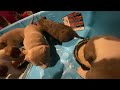 28 Day Old Puppies Introduce To Mush