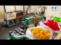 Manufacturing Of Plastic Caps | Complete Process In Injection Moulding Machine | BB Animation