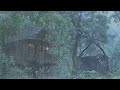 Wonderful Rain Sound for Sleep, Relaxing, Study, Meditation - Rain in Misty Forest