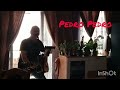 Pedro Pedro -polska wersja z dedykacją 😀🎸🔥