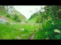 Lathkill Dale Valley Walk, English Countryside 4K