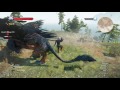 The Witcher 3: Wild Hunt Level 48 Archgriffin Kill