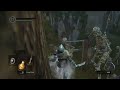 Dark Souls but I'm a Noob