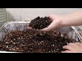 The Best Hoya Soil Mix | Reviewing Soil Amendments!