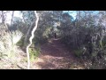 Florida Trail Hike, Juniper Springs to Hopkins-17