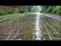 Restful Rain: Deep Sleep Therapy with Soft Rain and Distant Thunder for Insomnia and ASMR