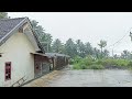 Heavy Rain Lightning and Thunder in my village l Rain walk l Falling Asleep with Rain and Thunder