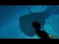 [RARE MOMENT] Walking On The Water Surface With Giant Fish (ZOONOMALY)