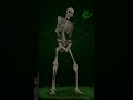 I Drew a Semi-Realistic Skeleton from Minecraft