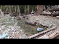 Ranger Creek Area | Mt Baker-Snoqualmie National Forest.
