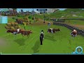 All championships (shortcuts) | Star stable