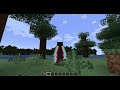 Tengo capa de TikTok (Seguidor) en Minecraft Java