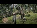 Red redemption 2 pole dancing horse