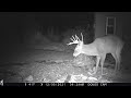 Back Yard Trail Cam Dec  2021