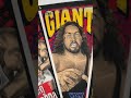 WCW Pennant Collection