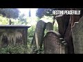 The Graveyard That Was Abandoned 200 Years Ago - Forgotten Churchyard