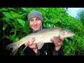 Barbel Fishing the New River Season - 2024