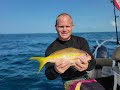 Airplane Wreck in Florida Keys Grouper